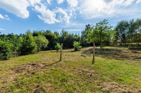 foto04_11383002_9olgk.jpg