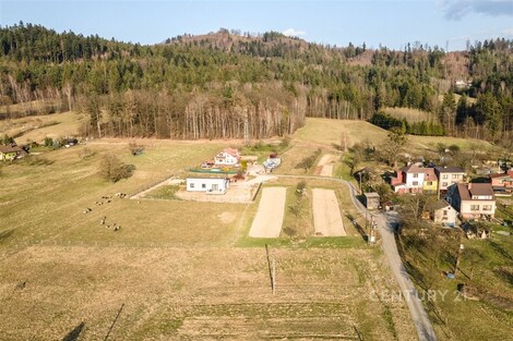 foto04_11464420_1jjuag.jpg