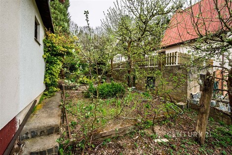 foto04_11488589_1iyggk.jpg