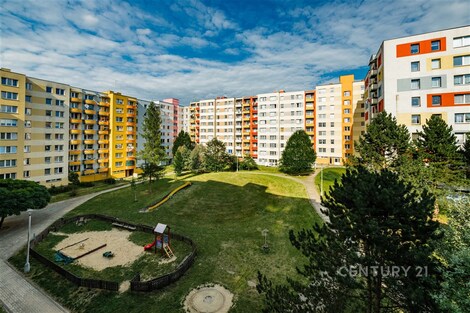 foto04_11528113_lmb7o.jpg