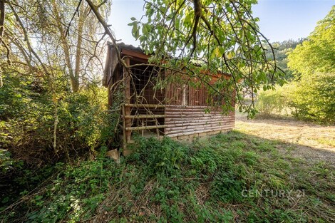 foto04_11542349_1aznjc.jpg