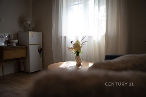 foto04_11543351_1f2nl8.jpg