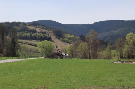 foto02_11384409_d0e6w.jpg