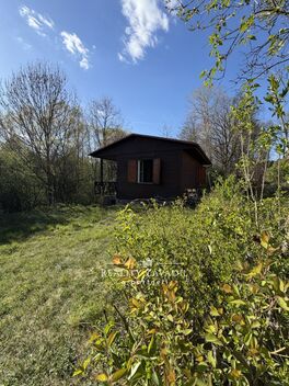 foto02_11467972_15xjr0.jpg