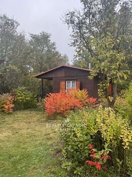 foto02_11467972_1boea0.jpg