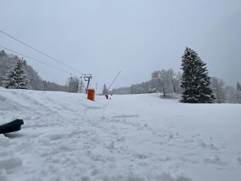 foto02_11470193_o0os4.jpg