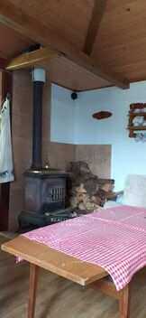 foto02_11491999_1lq3hw.jpg