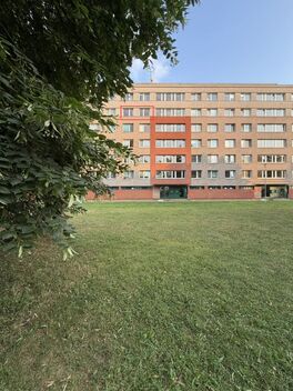 foto02_11518867_d0qgk.jpg