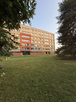 foto02_11518867_lxqk0.jpg
