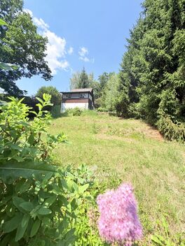 foto02_11519490_9znoo.jpg