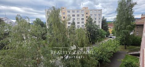 foto02_11532419_ks6vk.jpg