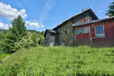 foto02_11554820_haml0.jpg