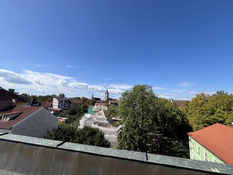 foto02_11557529_iymgk.jpg