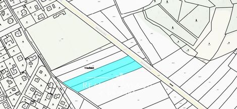 foto02_11567479_8wybk.jpg