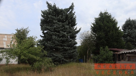 foto05_11539920_3m4qi.jpg