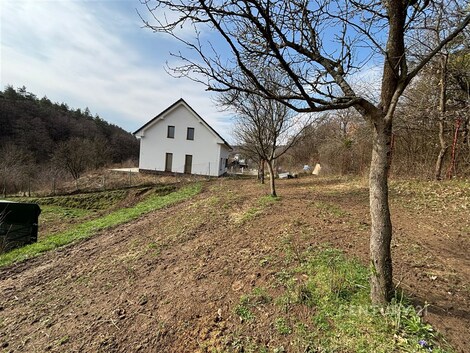 foto04_11424247_1kzfjk.jpg