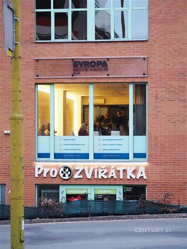 foto04_11470431_1pjnw.jpg