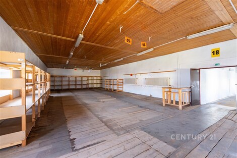 foto04_11485912_ung5g.jpg