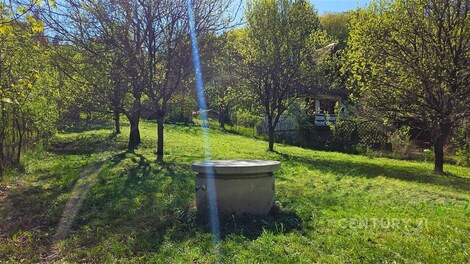 foto04_11498691_11zz8.jpg