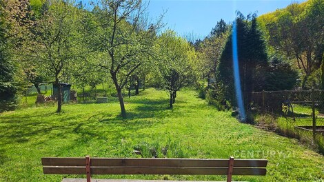 foto04_11498691_1gqcz0.jpg
