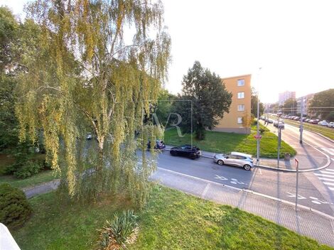 foto02_11557271_ybe88.jpg