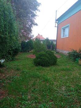 foto02_11438750_4zvxc.jpg