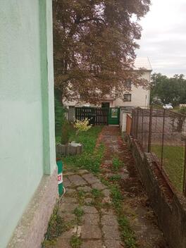 foto02_11438750_zbhj8.jpg