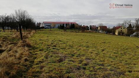 foto02_11458400_17krdw.jpg
