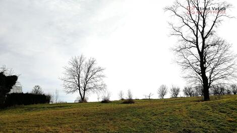 foto02_11458400_cven0.jpg