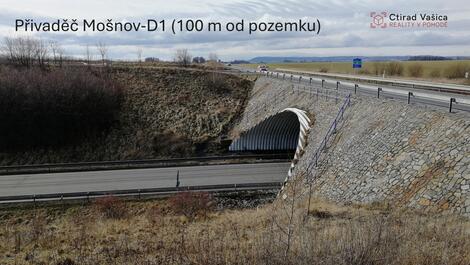 foto02_11458401_ftggo.jpg