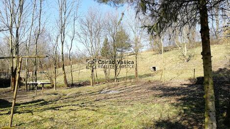 foto02_11464049_1jcky4.jpg