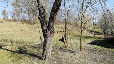foto02_11465969_1nbi0c.jpg