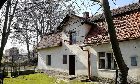 foto02_11465969_auzuk.jpg