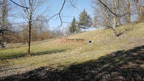 foto02_11465969_xqx1c.jpg