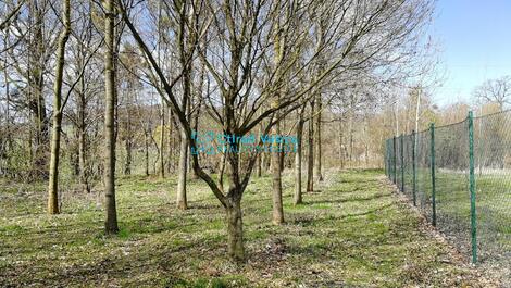 foto02_11477628_7qs4.jpg