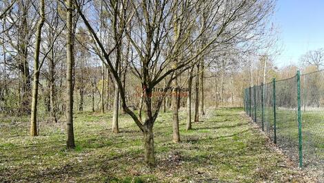 foto02_11477628_elc6w.jpg