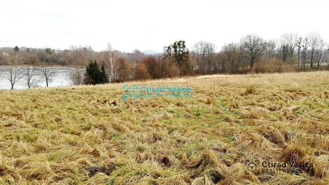 foto02_11489633_cebz8.jpg