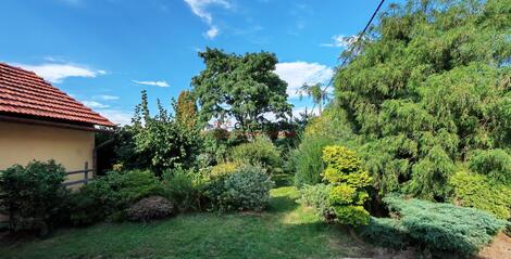 foto02_11544240_ek5oc.jpg