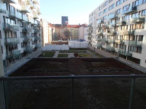 foto02_11545632_11rzc4.jpg