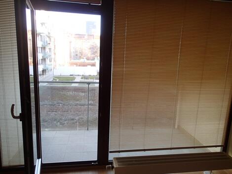 foto02_11545632_dl7ng.jpg