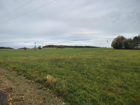 foto02_11571697_7ichg.jpg