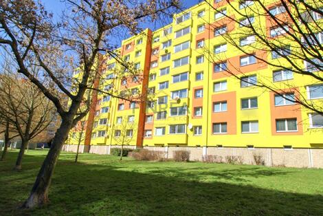 foto02_11465973_1iydj0.jpg