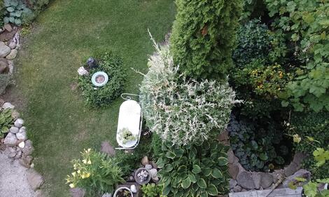 foto02_11483563_111p1g.jpg
