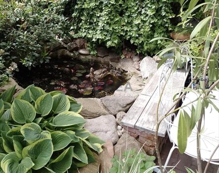 foto02_11483563_k7oj0.jpg