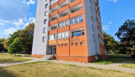 foto02_11521093_ak9tc.jpg