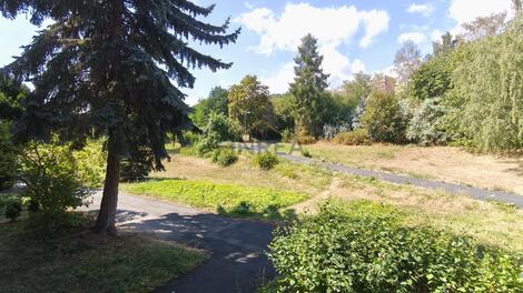 foto02_11537373_9gbp4.jpg
