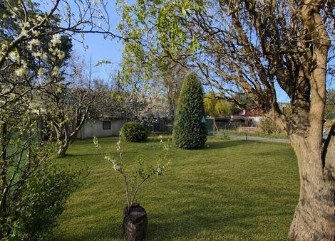 foto02_11549168_jq06o.jpg