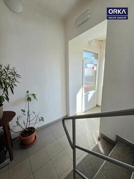 foto02_11462190_r3qmc.jpg