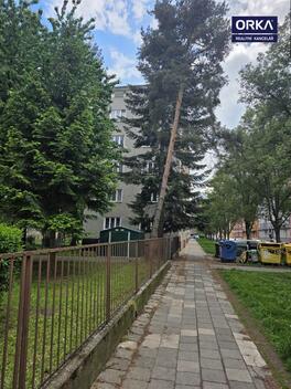 foto02_11500832_9u8s0.jpg