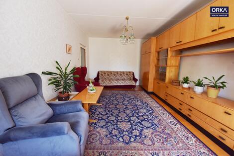 foto02_11504925_9avpk.jpg